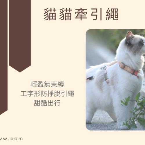 【YeeGo 億購寵物】漸變貓胸背帶 貓咪牽繩 貓牽繩 寵物胸背帶 貓咪胸背帶 胸背帶