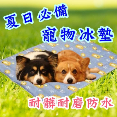 【香蕉生活館】❤️新型可愛冰墊 寵物冰墊 寵物涼墊 狗床 貓床 狗墊 貓墊 狗狗涼墊 貓咪涼墊 寵物床 寵物墊 寵物窩