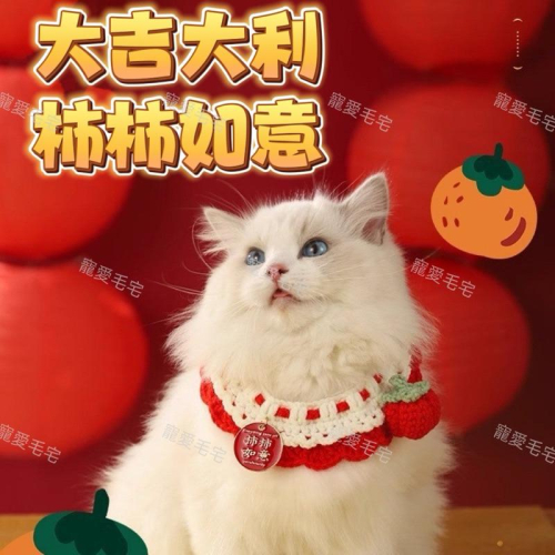 寵愛毛宅 寵物項圈 寵物 寵物新年項圈 寵物過年 貓咪新年項圈 狗狗新年項圈 寵物針織項圈 新年針織圍脖 新年頸部裝飾