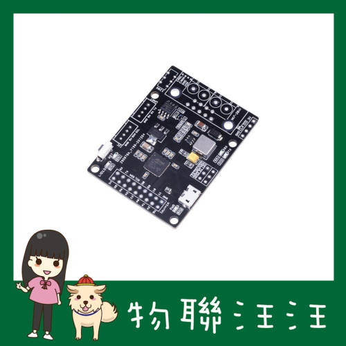 [物聯汪汪] 附發票~ CANBed M4 開發板帶ATSAME51G19A MCU MCP2542FD CAN收發器