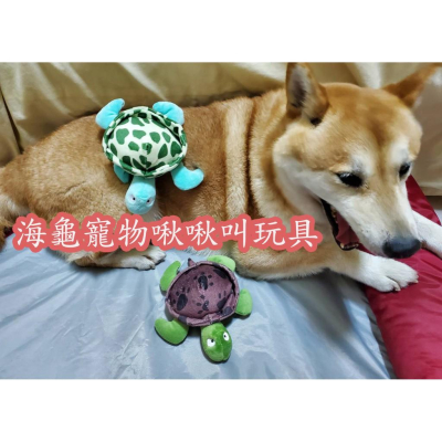 海龜造型寵物發聲玩具 狗狗烏龜玩具