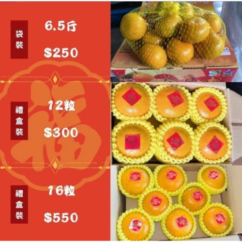 茂谷柑?雲林自家小農?現貨發送