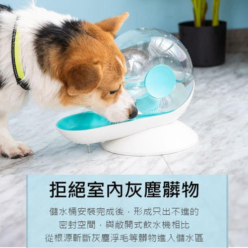 寵物自動飲水機 蝸牛飲水器 自動飲水機 餵水神器 貓咪狗狗喝水器 水碗 水盆 自動續水/不插電自動循環過濾