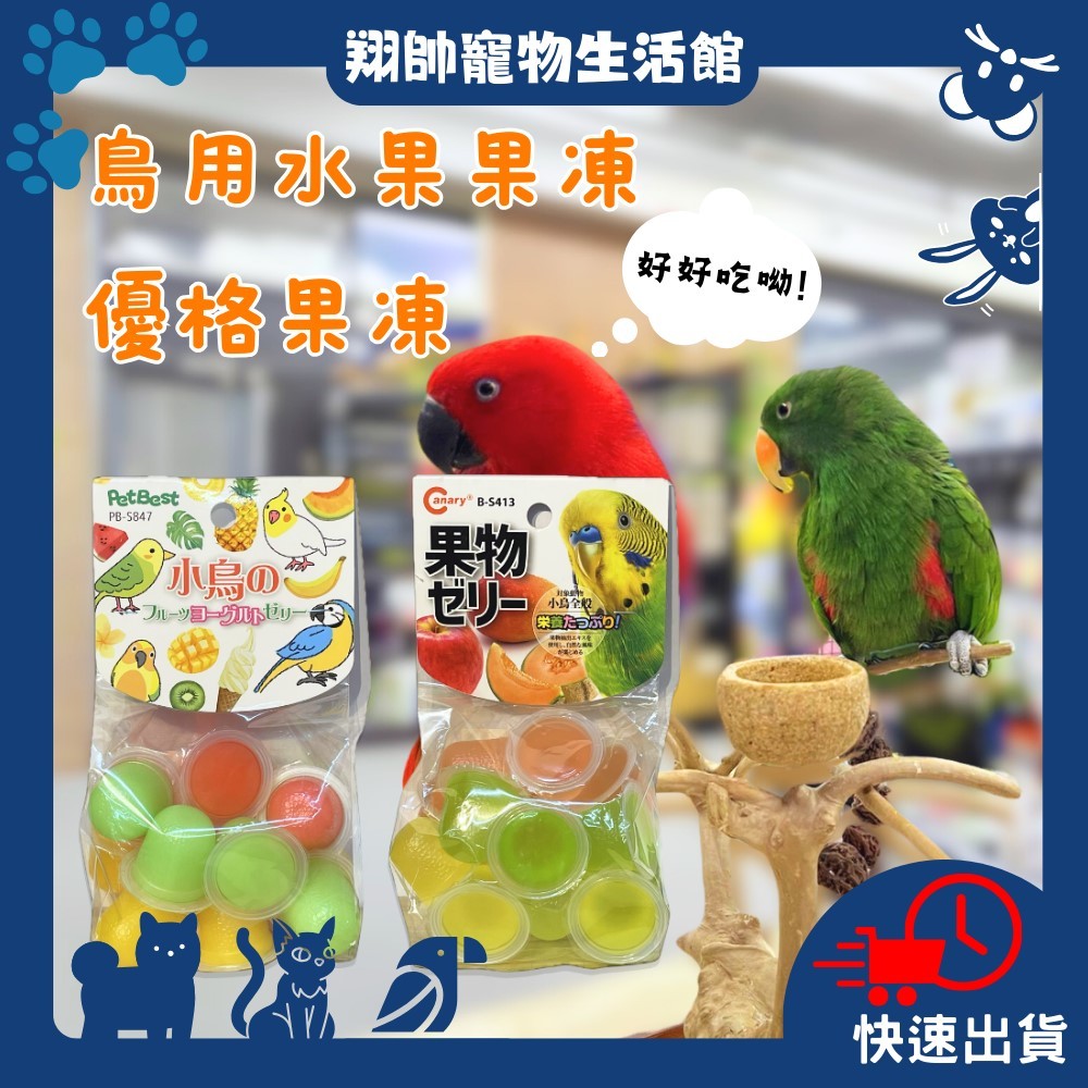 實體門市｜鸚鵡｜優格｜綜合水果果凍｜零嘴｜派伊梅｜味覺噗啾｜零食｜鳥果凍｜零食｜寵物專用果凍｜翔帥寵物生活館｜AAA