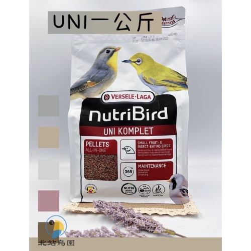北站鳥園-凡賽爾UNI 綠繡眼小顆粒