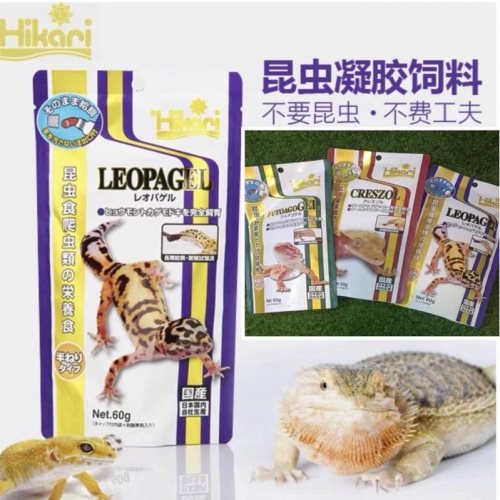 【臥水族】【聊聊驚爆優惠價】Hikari高夠力 爬蟲類專用飼料 凝膠 守宮 鬆獅蜥 食蟲 食果 雜食飼料