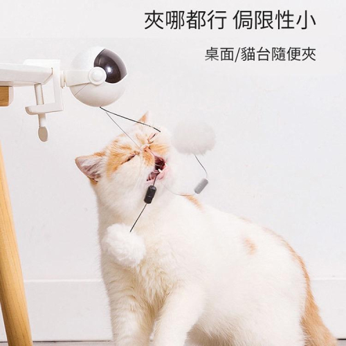 *現貨* 貓咪電動逗貓球玩具 自嗨神器 升降球 逗貓玩具 逗貓神器 貓咪玩具 電動逗貓升降球