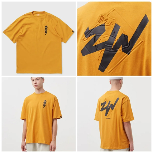 Jordan Tee Dri-FIT Zion 寬鬆版型 美國購回 台灣無售