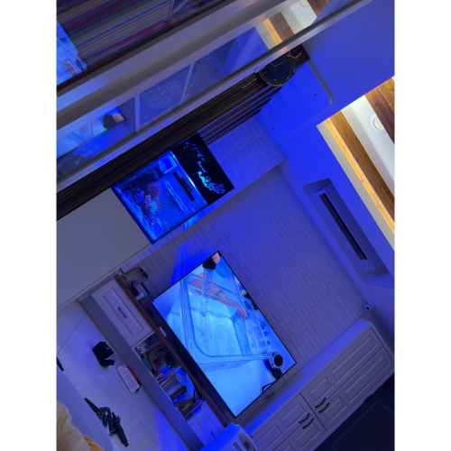 1250元的水族用品