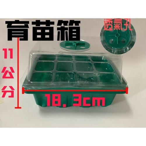育苗盆 育苗箱 12孔 穴盤 透明 白色 綠色