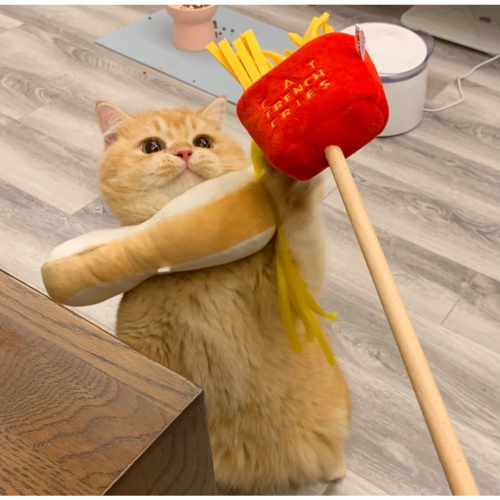快速出貨【貓房東 CatLandlord】PurLab噗撲實驗室薯條逗貓棒