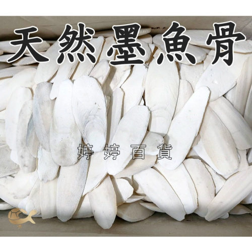 天然墨魚骨 鈣質補充 無漂白 脫鹽【10g】陸龜 爬蟲 鸚鵡 鳥類 老鼠 鼠類 磨牙 營養補充品 婷婷水族 兩棲爬寵