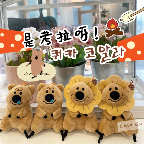 【親咕小舖-Ghin Gu Ü 台灣出貨】韓國Quokka考拉吊飾 背包吊飾 書包掛飾 柿子熊 短尾袋鼠 小熊