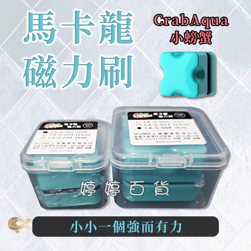 馬卡龍磁力刷 迷你磁刷 磁力刷 魚缸清潔刷 玻璃刷 刷魚缸 魚缸雙面刷 婷婷水族 兩棲爬寵