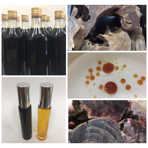 ?御品天香? 肖楠精油 台灣三峽肖楠精油 12ml 檜木精油 牛樟精油 精油 台灣檜木 三峽肖楠