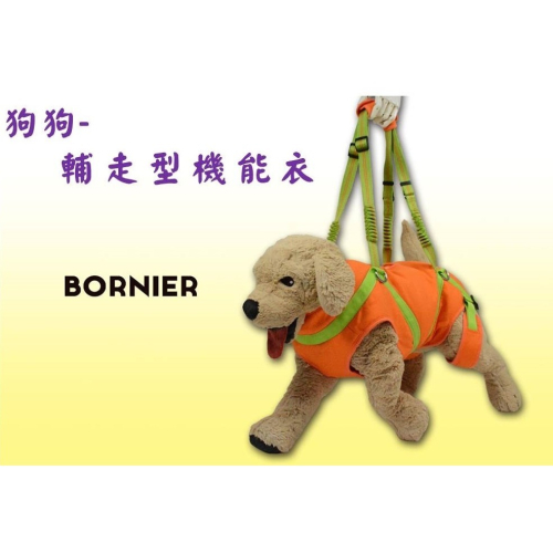 【近似全新】BORNIER 老狗 狗狗輔走型機能衣-M號 [胸圍 61-65CM] 中型犬 復健狗狗 術後