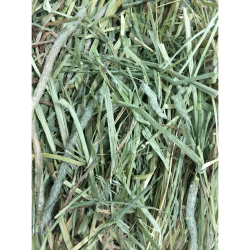 商品介紹 : 兔草 - 提摩西 2KG G-817
