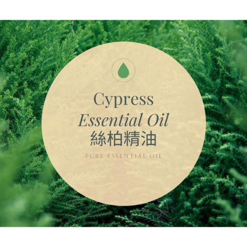 【MW精油工坊】絲柏 Cypress Essential Oil 10ml