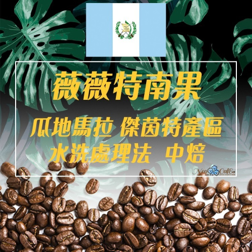 【瓜地馬拉 薇薇特南果SHB】水洗/中焙 咖啡豆-尼歐咖啡/Neo Cafe