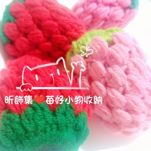 昕飾集?苺好飾物收納