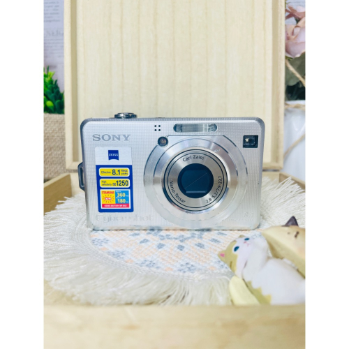 Sony w100
