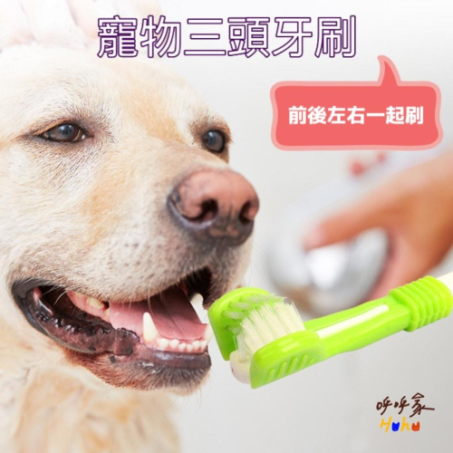 Histotree 寵物三頭牙刷 無死角好用 狗狗牙刷 貓咪牙刷