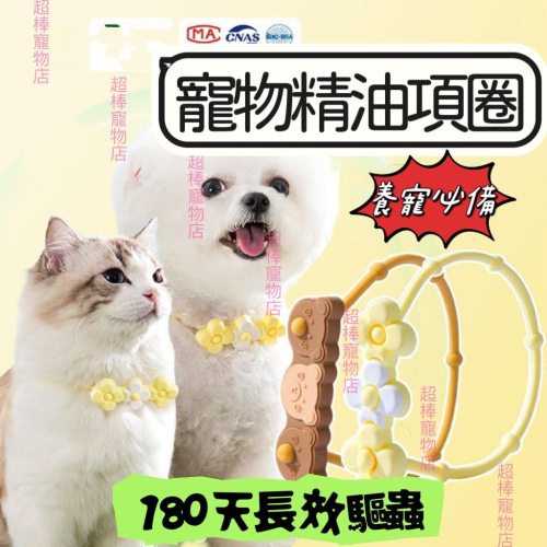 【超棒寵物】ig同款?寵物防蚤項圈非藥用 防蚊項圈 狗狗貓咪防跳蚤項圈 殺跳蚤防蟲 天然驅蟲精油 除蚤寵物項圈 貓狗項圈