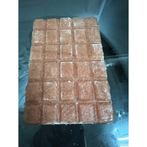 特級《中蝦》含水量低 高蛋白冷凍飼料