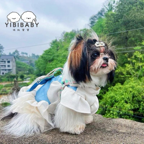藍色蝴蝶結禮服❤️