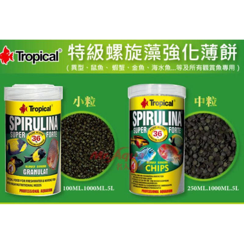 【楊媽媽水族】 德比克 Tropical 36% 特級螺旋藻強化薄片 七彩 水晶蝦 異形 鼠魚 (薄餅/罐裝)