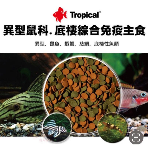 【一桶最便宜】1公斤德比克 Tropical 異型鼠科、底棲綜合免疫主食 雙色飼料 異型 底棲魚 鼠魚 蝦 蟹 飼料
