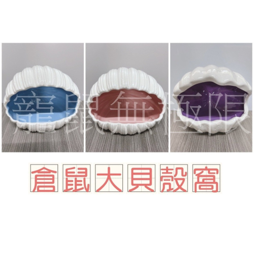 ✔️現貨 3色倉鼠貝殼窩 粉/藍/紫色 (倉鼠陶瓷窩/倉鼠大貝殼窩/倉鼠睡窩/三線鼠/黃金鼠/一線鼠)