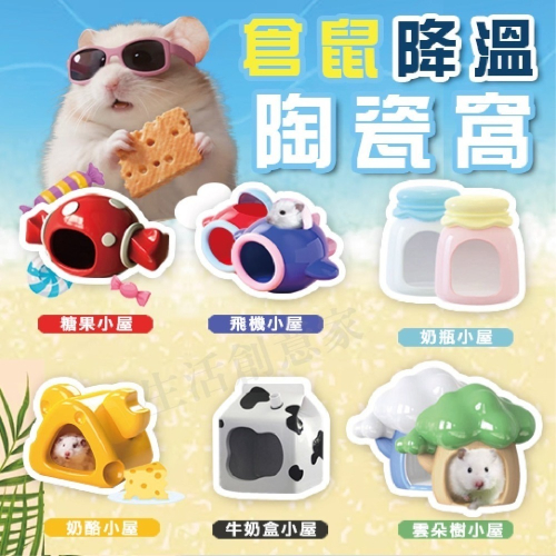 【實體店面現貨】陶瓷倉鼠窩 消暑聖品 倉鼠家 小寵睡窩 鼠窩 倉鼠陶瓷屋 倉鼠陶瓷 寵物鼠窩 倉鼠窩 涼爽