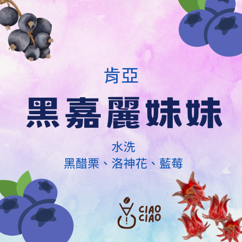 ［手挑精品豆 | 悄悄咖啡ciao ciao ］黑嘉麗妹妹咖啡豆