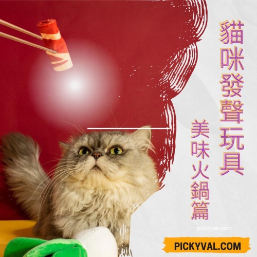【挑嘴瓦爾】 ?台灣現貨·24H出貨? 火鍋造型 貓玩具 內含響紙 毛絨發聲玩具 舒壓玩具 寵物玩具 耐撕咬