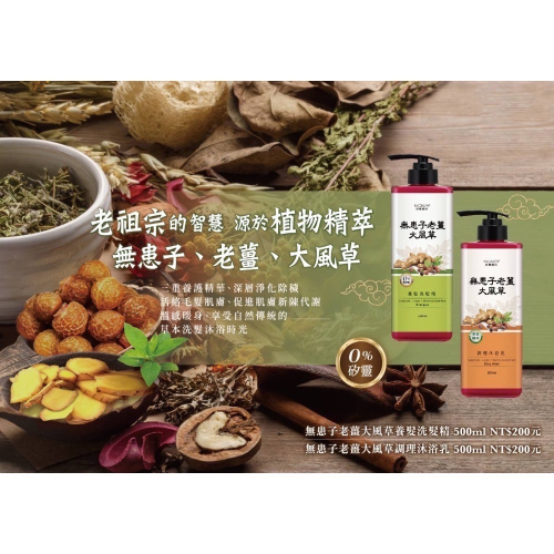 無患子老薑大風草調理沐浴乳 500ml