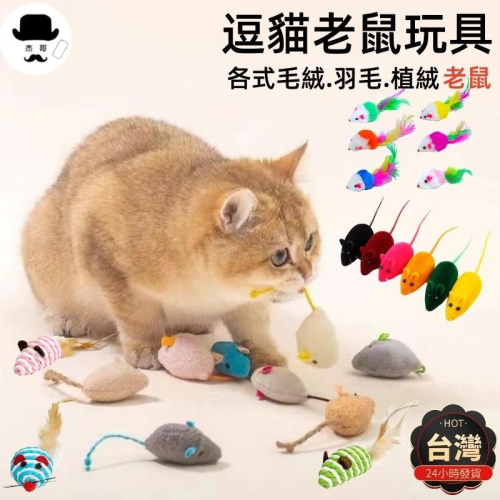 貓咪玩具?平價現貨?逗貓玩具 仿真小老鼠 草藥鼠 貓咪玩具 彩色老鼠 毛絨老鼠 貓咪自嗨玩具 貓咪追逐玩具