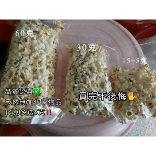 綜合鼠/倉鼠/松鼠/-爆米花