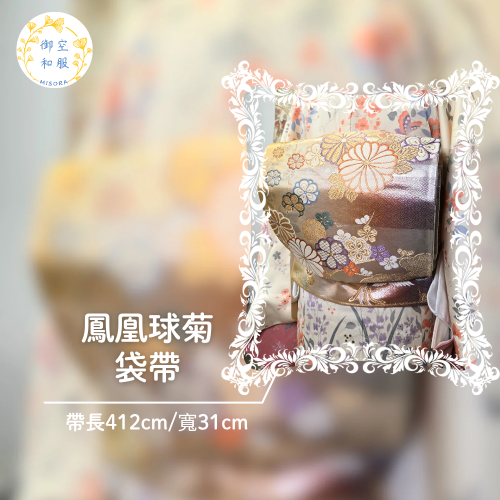 鳳凰球菊 袋帶
