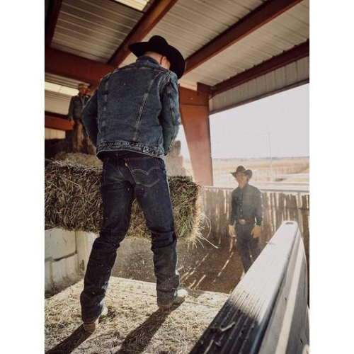 【西部牛仔重磅款】美國LEVIS Western Cowboy Lonesome深藍高強度直筒牛仔褲29-42腰501