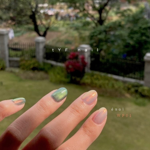 089/ 365 DAYS PLAN 穿戴甲 - tYF nail