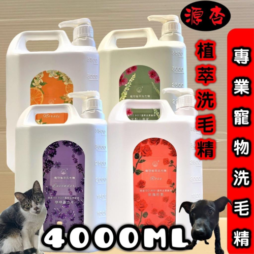 免運?妤珈寵物店?超大容量《源杏 植萃全系列 4000ml/瓶》滋潤型 泡沬柔細 好沖洗 台灣製 犬 貓 洗毛精 舒威特