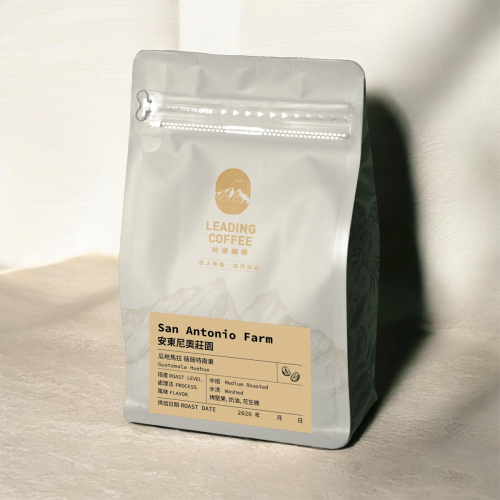 安東尼奧莊園 瓜地馬拉 中焙 水洗 225 g 林道咖啡 LEADING COFFEE