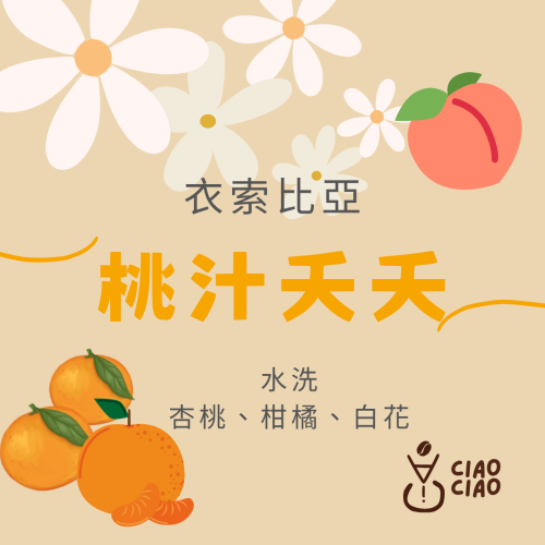 ［手挑精品豆 | 悄悄咖啡ciao ciao ］桃汁夭夭咖啡豆/半磅