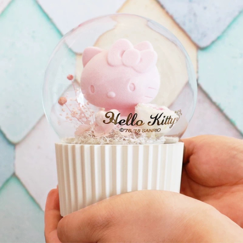 正品 helloKitty永生花音樂盒?聖誕節 情人節 送女生禮物?