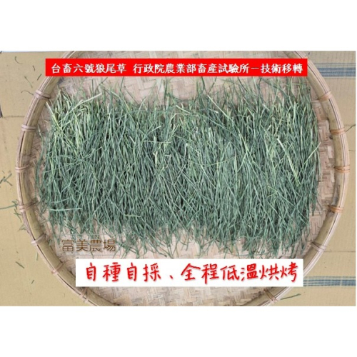 «台畜6號狼尾草»低溫烘焙乾草適合天竺鼠 兔子 烏龜 龍貓 倉鼠 水豚 松鼠 深受草食性動物喜愛 寵物牧草 乾草飼料