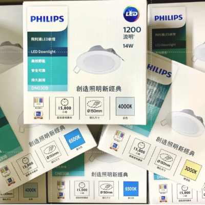 DN030 DN030G2 15公分坎燈 15公分崁燈 飛利浦 飛利浦15公分坎燈 飛利浦15公分崁燈