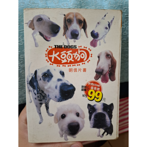 《大頭狗明信片書》二手書/泛黃/商品實拍如圖