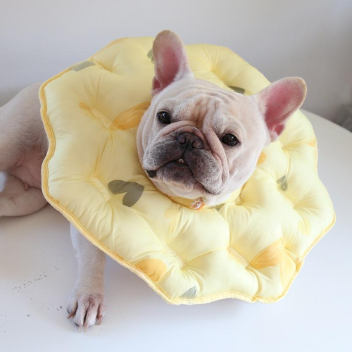 輕量化加棉伊麗莎白圈 防潑水 防舔圈 防抓 防咬頭套 寵物項圈 寵物頭套