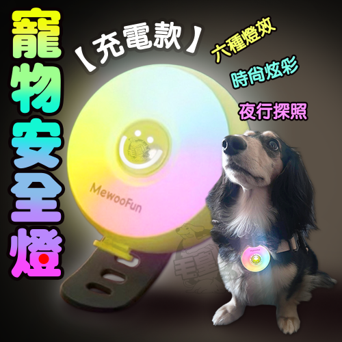 【毛皇上】❤寵物夜行燈 寵物安全燈 寵物吊飾 充電款 LED發光吊燈 夜間散步
